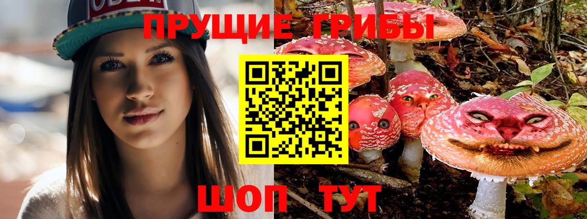 Новочебоксарск  Галлюциногенные грибы ЛСД  Вход с VPN 